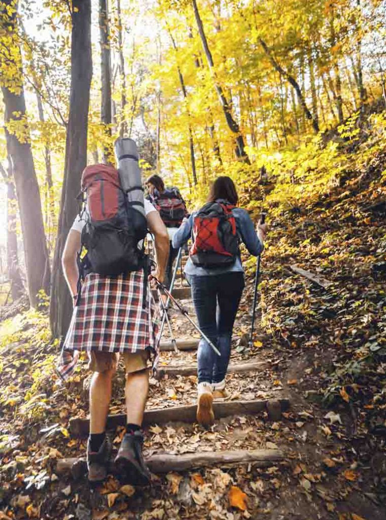 Family hiking together in the woods